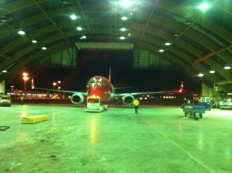 Norwegian Air Shuttle Boeing B737-800 Birdstrike